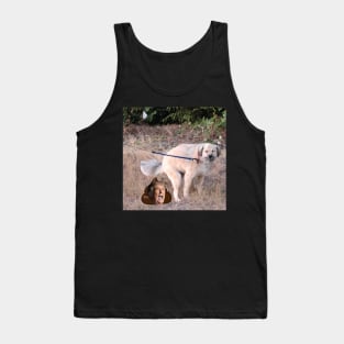 Trump dump Tank Top